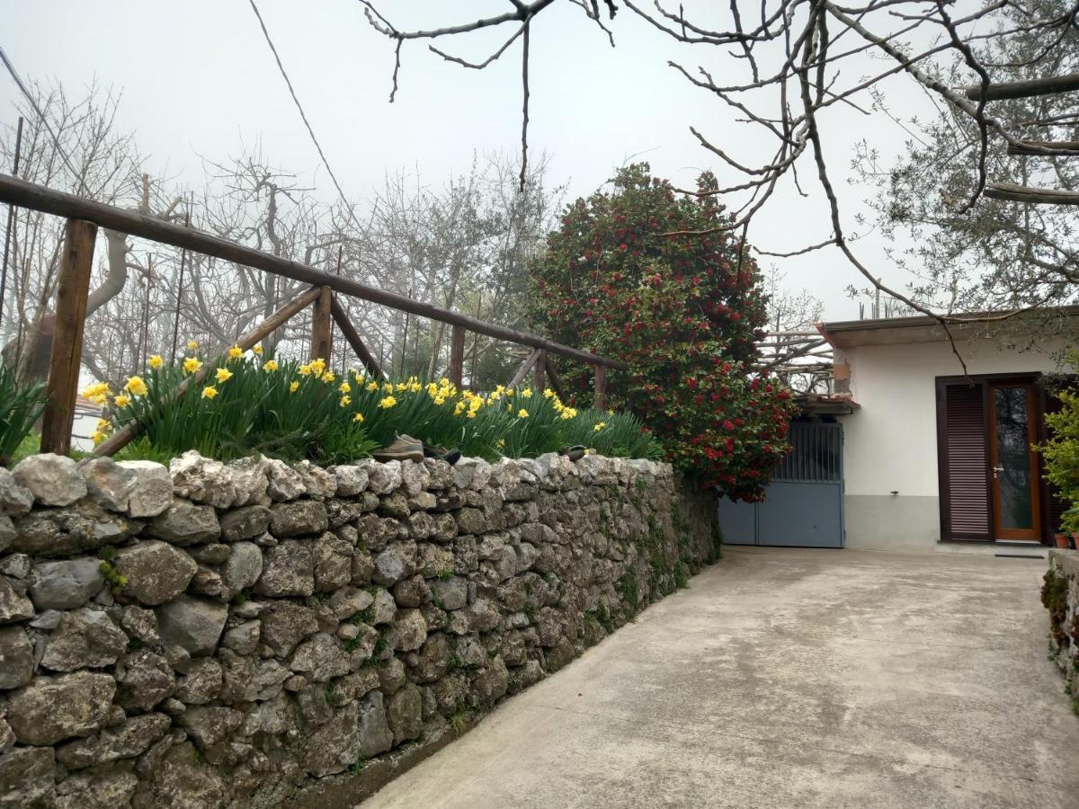 Mon Reve Διαμέρισμα Agerola Εξωτερικό φωτογραφία